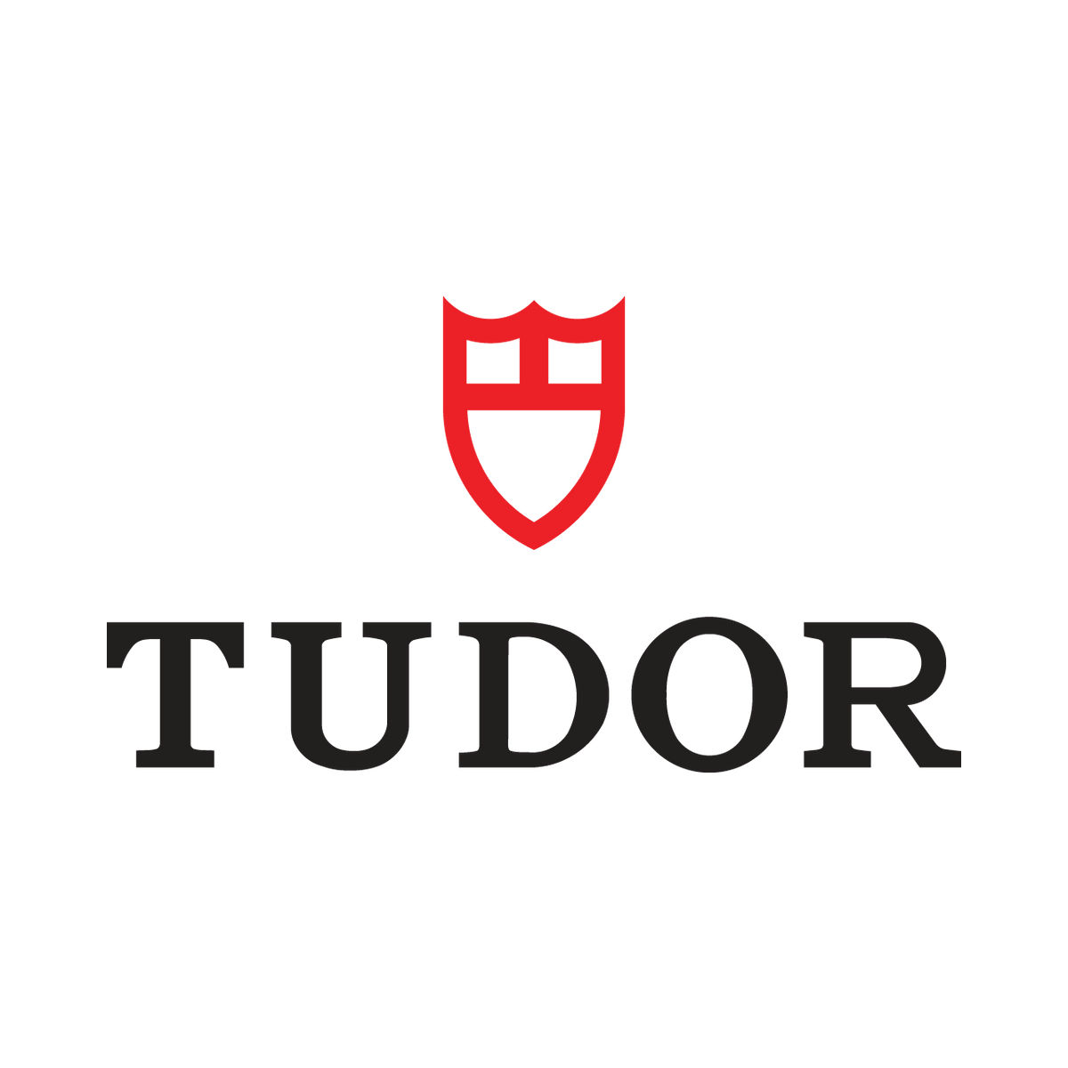 Tudor Protection